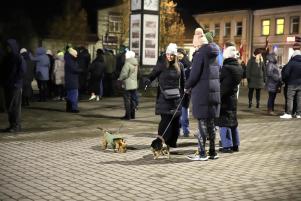 IMG_1-10