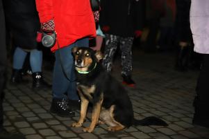 IMG_1-163
