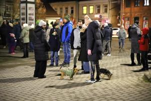 IMG_1-9