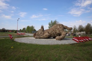 IMG_6116