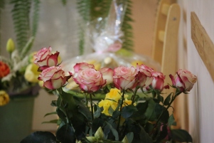 5N5B4339.JPG