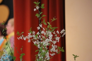 5N5B4356.JPG
