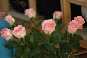5N5B4405.JPG