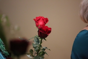 5N5B4755.JPG