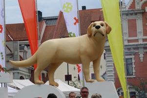 5N5B4513.JPG