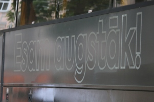 5N5B7241.JPG