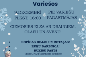 Pasākuma plakāts ar zilu fonu, sniegpārslām un tēliem Elzu un Olafu no filmas "Ledus sirds". Plakāts informē par Eglītes iedegšanu Variešos 9. Decembrī plkst. 16:00 pie Variešu pagastmājas. "Ciemosies Elza ar draugiem, Olafu un Svenu!". Programmā: kopīgas dejas un rotaļas, rūķu darbnīca, rūķīšu pasts! (vēstuli var uzrakstīt iepriekš). Pasākums bezmaksas. Organizē Jēkabpils novada kultūras pārvalde" un "Variešu pagasta pārvalde". Tiek brīdināts, ka pasākuma laikā var tikt fotografēts vai filmēts, un materiāli var tikt publicēti informatīvos nolūkos novada mājaslapā, izdevumos un sociālajos tīklos.