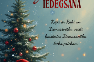 Ziemassvētku pasākuma plakāts ar apsnigušu egli un Ziemassvētku vecīti. Teksts: Zīlānu brīvdabas estrādē “Mārdadzis”. Egles iedegšana. 14. decembrī plkst. 16.00. Kopā ar Rūķi un Ziemassvētku vecīti ļausimies Ziemassvētku laika priekam. Draudzīgs pasākums visai ģimenei. Bezmaksas pasākums. Pasākuma laikā var tikt fotografēts un filmēts, materiāli informatīvos nolūkos var tikt publicēti novada mājaslapā, informatīvajos izdevumos un citos sociālajos tīklos.