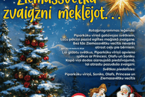 Plakāts ar ziemas ainavu, eglītēm un spilgtu zvaigzni. Uz tā rakstīts: "Bērnu un jauniešu nometnes "TAVA nometne" un bērnu centra "PALLA" radošā komanda piedāvā Ziemassvētku eglītes rotaļprogrammu bērniem" ar nosaukumu "Ziemassvētku zvaigzni meklējot...". Norādīta vieta un laiks: "Viesītes KC 28.12. pl.11.00.". Attēla priekšplānā sniegā stāv Soniks, sniegavīrs Olafs, piparkūku vīriņš, princese zilā kleitā un Ziemassvētku vecītis. Labajā pusē ir programmas leģenda: "Piparkūku vīriņš gatavojas svētkiem, taču pēkšņi pazūd eglītes maģiskā zvaigzne. Bez tās Ziemassvētku vecītis nevarēs atrast ceļu pie bērniem. Lai glābtu svētkus, Piparkūku vīriņš apvieno spēkus ar Princesi, Olafu un Soniku. Kopā viņi dodas aizraujošā piedzīvojumā, lai atrastu pazudušo zvaigzni. Svētkos piedalīsies: Piparkūku vīriņš, Soniks, Olafs, Princese un Ziemassvētku vecītis". Apakšā piezīme: "Tā nav izrāde, tā ir tēl...
