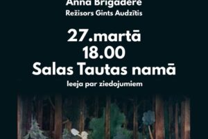 Plakāts paziņo par Salas vidusskolas 12. klases Žetonu vakara izrādi "Sprīdītis". Autore Anna Brigadere, režisors Gints Audzītis. Izrāde notiks 27. martā pulksten 18.00 Salas Tautas namā, ieeja par ziedojumiem. Plakāta apakšdaļā redzama ilustrācija ar Sprīdīti, kurš ar lāpstu un tauri iet cauri mežam, un zem tās ir dažādu sponsoru logotipi.