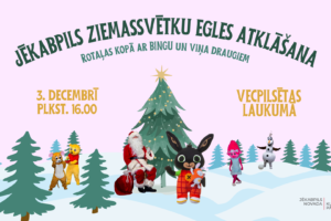 Jēkabpils Ziemassvētku egle tiks atklāta 3. decembrī