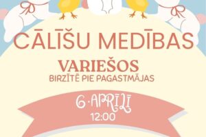 Plakāts ar trīs baltiem trušiem un diviem dzelteniem cāļiem, kas paziņo par pasākumu. Augšpusē redzams JĒKABPILS NOVADA KULTŪRAS PĀRVALDE logotips. Galvenais uzraksts: CĀLĪŠU MEDĪBAS VARIEŠOS BIRZĪTĒ PIE PAGASTMĀJAS. Datums un laiks: 6. APRĪLĪ 12:00. Aktivitātes: ORIENTĒŠANĀS SPĒLES, OLU KONKURSS UN RIPINĀŠANA, AKTIVITĀTES. Pasākums tiek rīkots KOPĀ AR "SPĒLES UN ANIMATORS TEV".